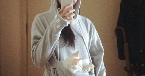 pull avec poche pour chat